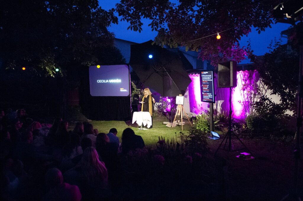 TEDxAlmedalen 2011: The Doers