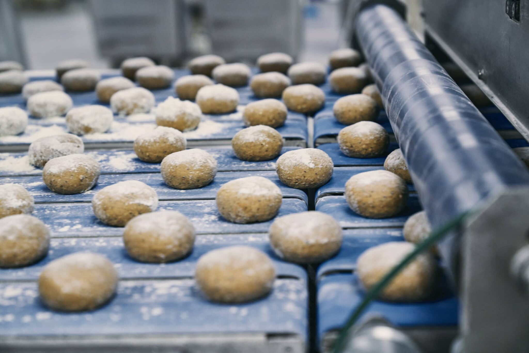 Food processing equipment